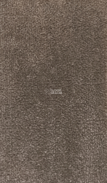 Ковролин  Brown фото 1 | FLOORDEALER